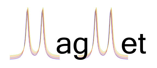 Magmet logo transparent